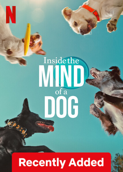 Inside the Mind of a Dog